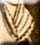 Click for full picture